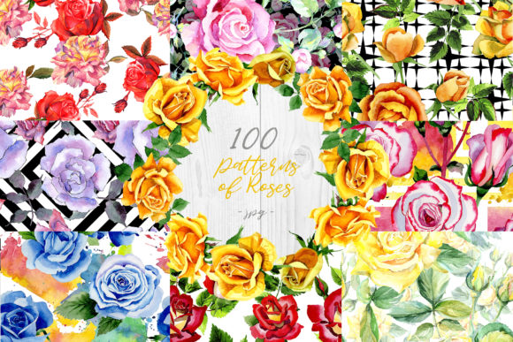 100 Colorful Rose Patterns: Illustrations Review