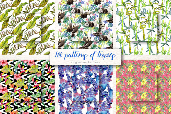 100 Patterns of Tropics Watercolor Set Illustrations