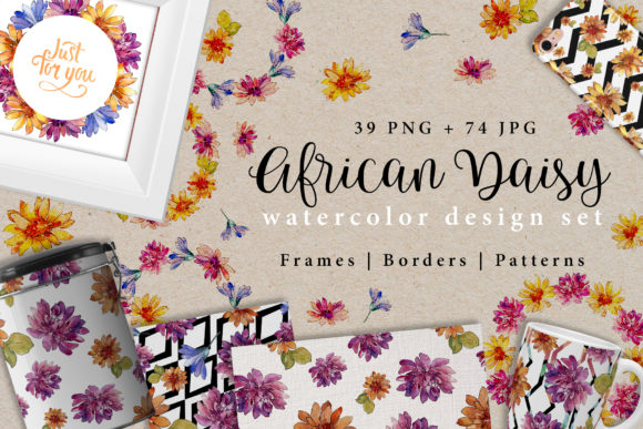 African Daisy Watercolor Design Set & Illustrations
