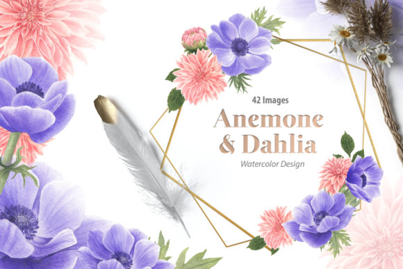 Anemone Dahlia Flowers Watercolor Set & Illustrations