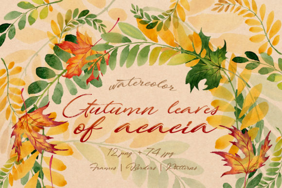 Autumn Leaves of Acacia Watercolor Set Illustrations
