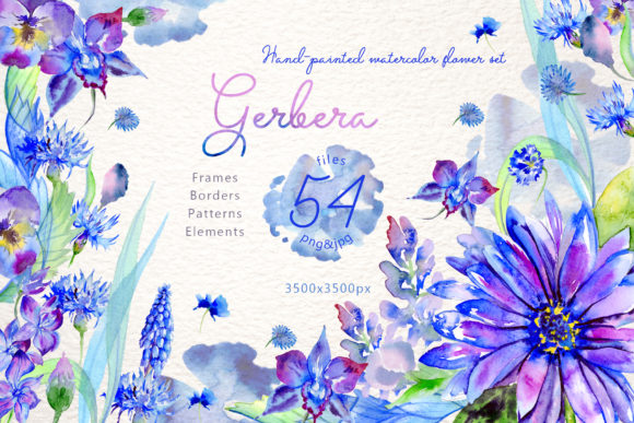 Blue Gerbera Watercolor Flower Set: Illustrations Review