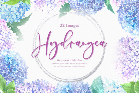 Blue Hydrangea Watercolor Set & Illustrations
