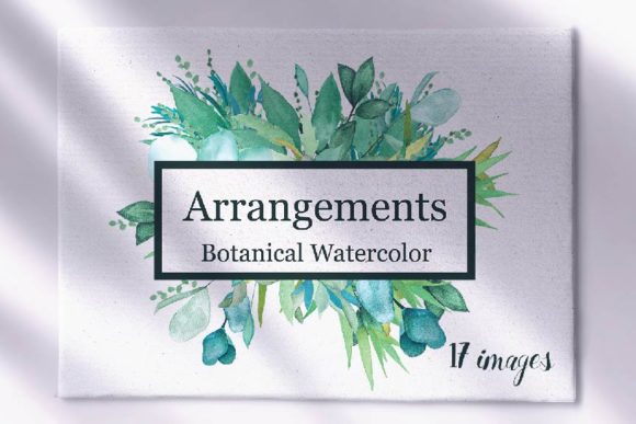 Botanical Watercolor Arrangements & Illustrations
