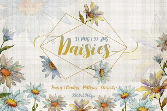 Cool White Chamomile Watercolor Set & Illustrations