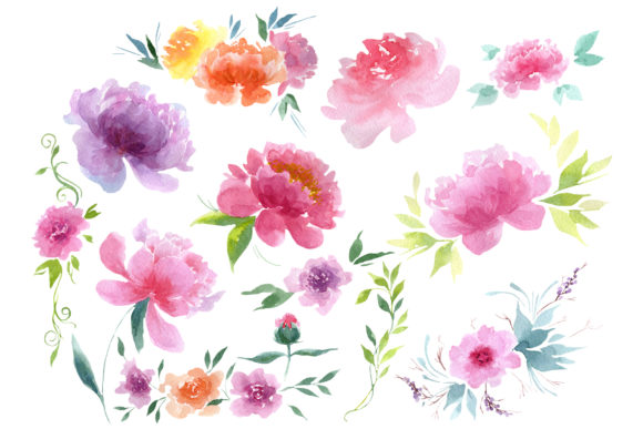 Delicate Colorful Peony Watercolor Set Review