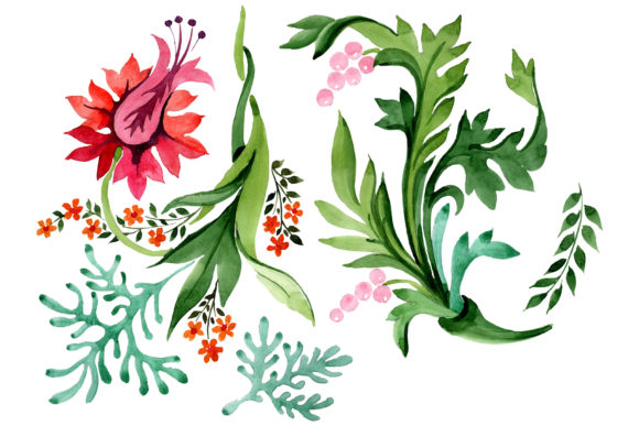 Eastern Ornament Watercolor Illustrations Review