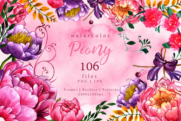Exquisite Peonies Watercolor Flower Set Review