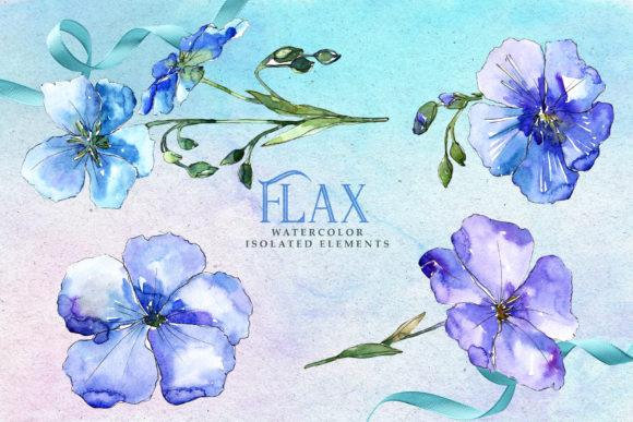 Flax Watercolor Illustrations Review
