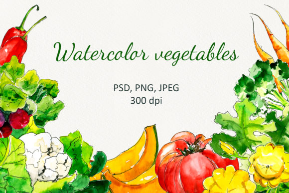 Fresh Vegetables Watercolor Set Illustrations Review