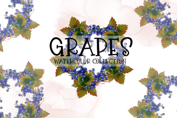 Grapes Watercolor Collection: A Designer Review