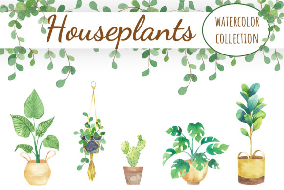 House Plants Watercolor Clipart & Illustrations