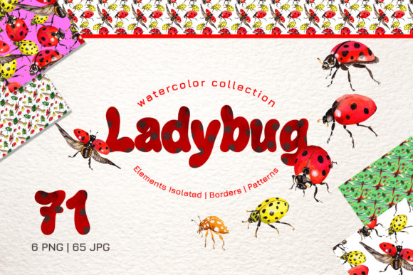 Ladybug Watercolor Illustrations Review