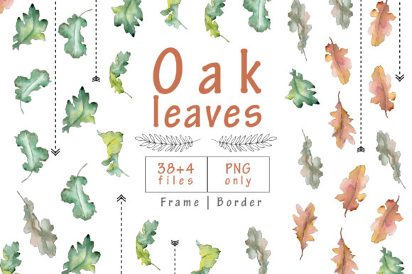Oak Leaves Watercolor Set Illustrations Review