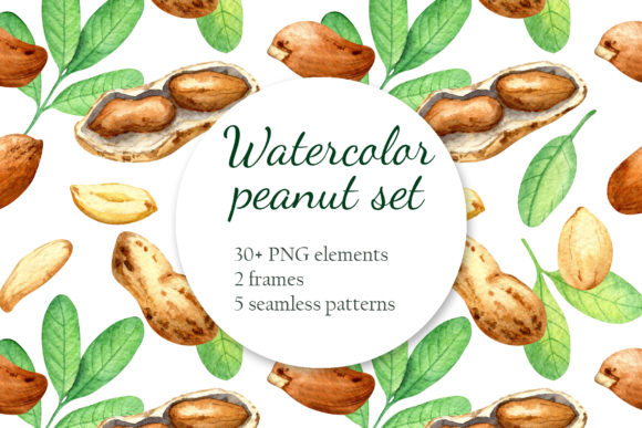 Peanut Watercolor Set: Fresh Illustrations