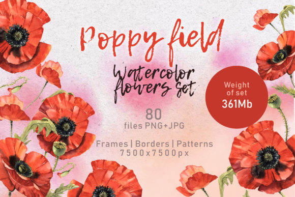 Poppy Field Watercolor Set & Illustrations