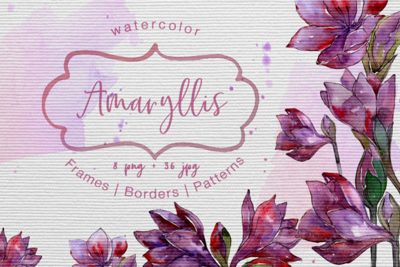 Purple Amaryllis Watercolor Set Illustrations