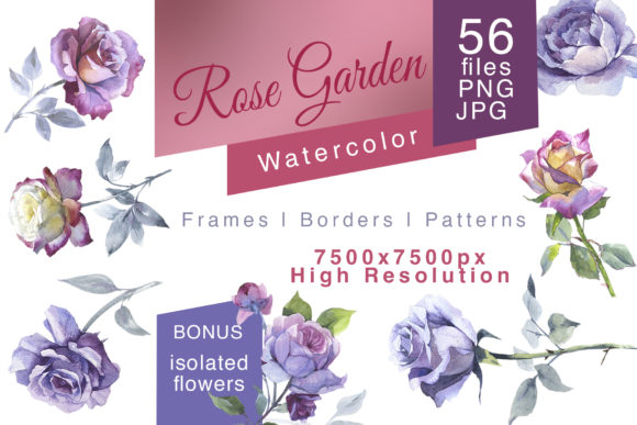 Rose Garden Watercolor Set Illustrations Review