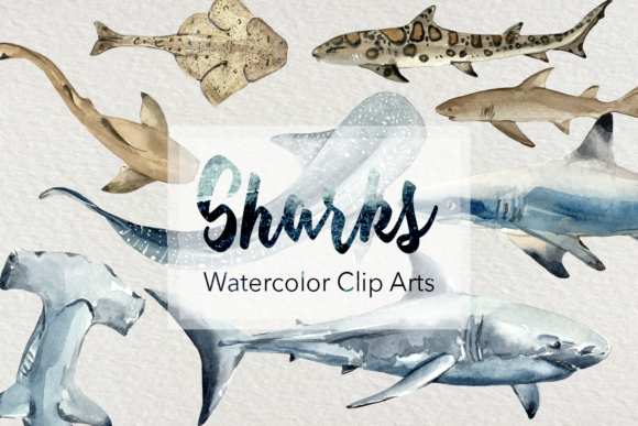 Sharks - Watercolor Clip Arts & Illustrations