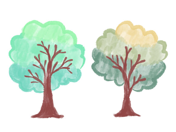 Tree Watercolor Illustrations for Local Brands