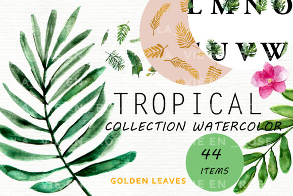 Tropical Leaves Illustrations for Digital Sales