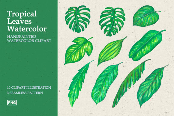 Tropical Leaves Watercolor Clipart Review