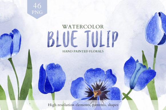 Tulip Watercolor Clipart Blue: Editorial Illustrations