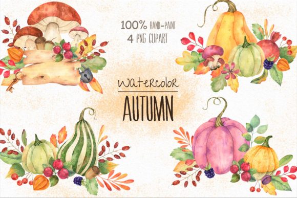 Watercolor Autumn Compositions Illustrations Review
