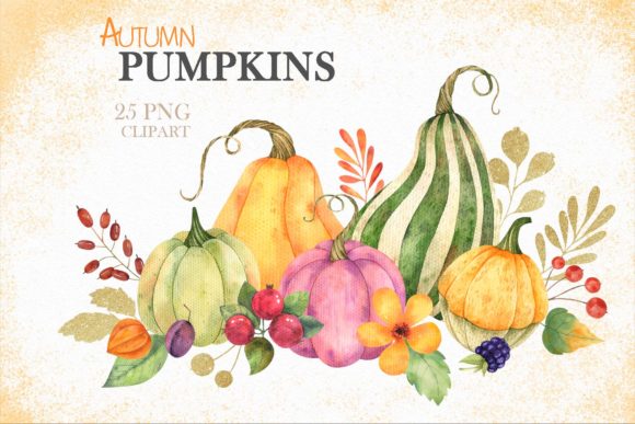 Watercolor Autumn Pumpkins Clipart & Illustrations
