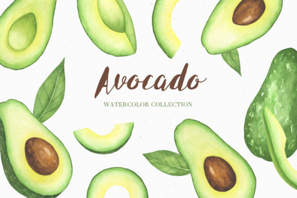 Watercolor Avocado Collection: A Designer Review