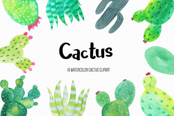 Watercolor Cactus Illustration Review