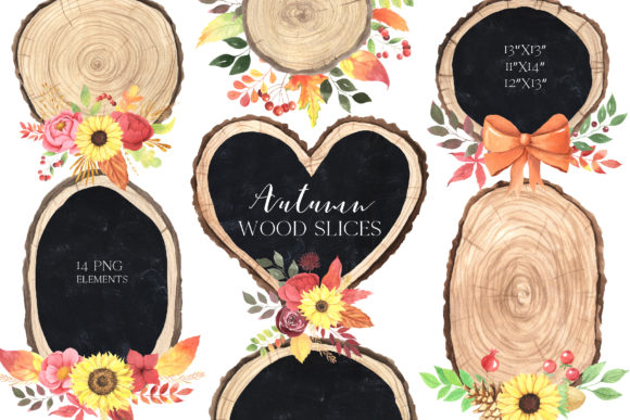 Watercolor Fall Wood Slices Clipart & Illustrations