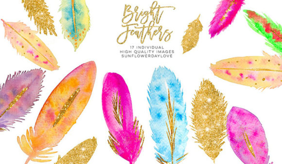 Watercolor Feathers Clipart Download