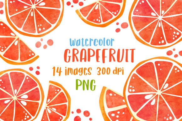 Watercolor Grapefruit Citrus Clipart Review