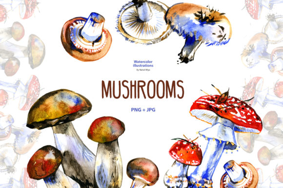 Watercolor Mushrooms Illustrations Review