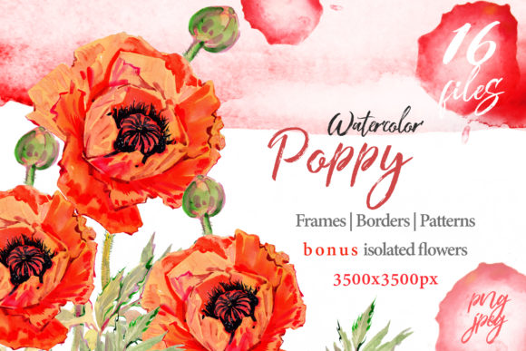 Watercolor Red Poppy Set: A Designer Review