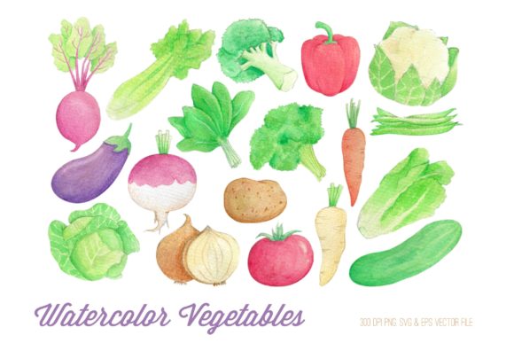 Watercolor Vegetables Clipart & Illustrations