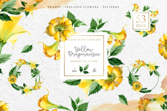 Yellow Brugmansia Watercolor Set Illustrations